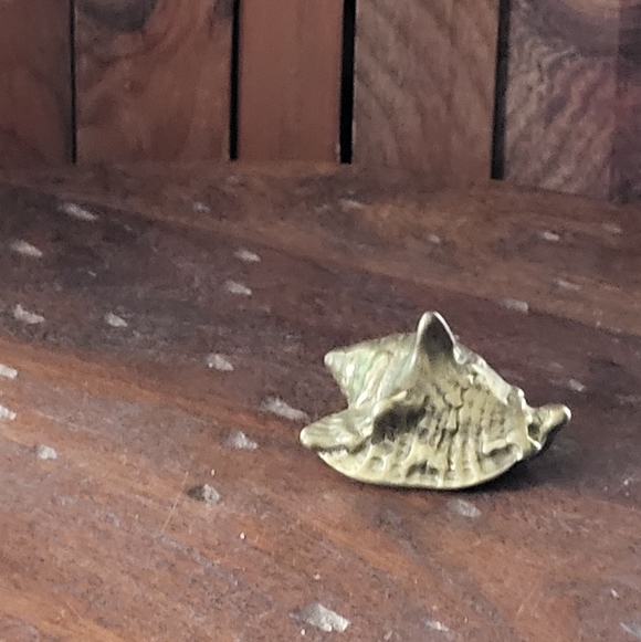 Brass Sea Shell - Picture 3 of 14